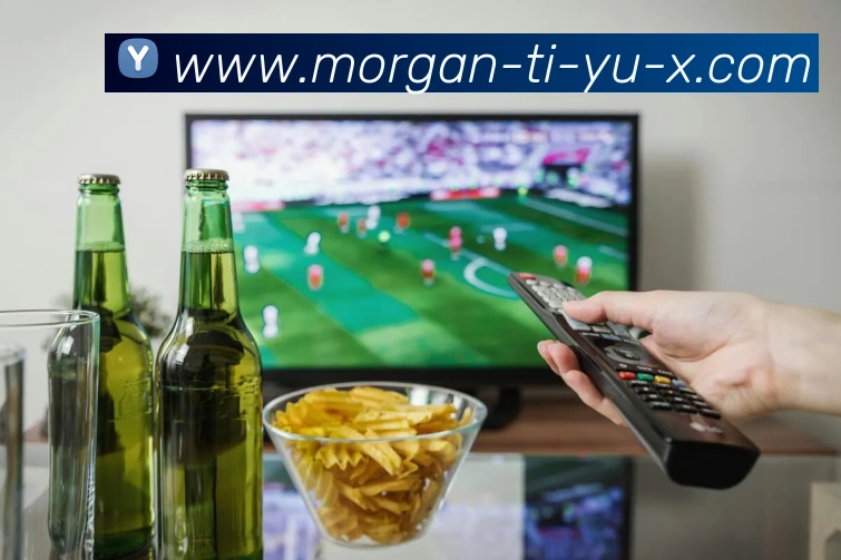 多彩内容专区